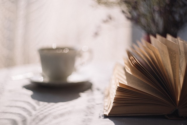 Cómo escribir una novela