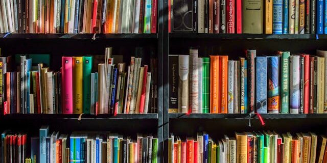 Libros para Leer
