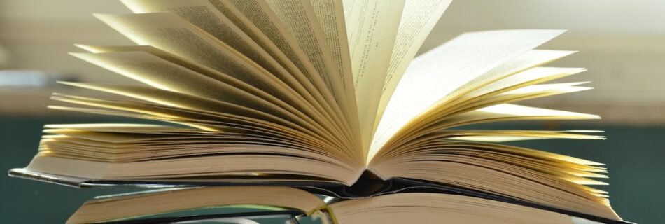 Libros en español online